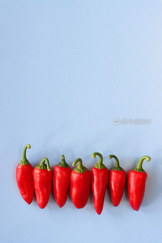 红色迷你辣椒(Capsicum annuum)的海报边框设计图像，蓝色背景，复制空间